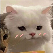 kiku