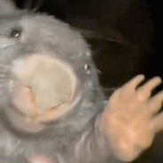 BoberKurwa
