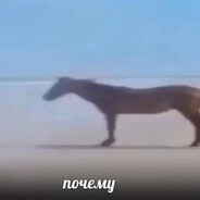 НеМисуак