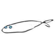 ghoti