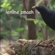 Broke Trash