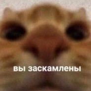 НЕ $cam !