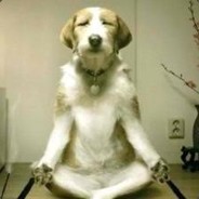 Mav
