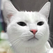 Лизака