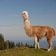 Il Lama Maestro