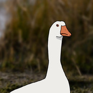 TheCuriousGoose