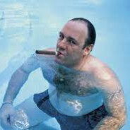 TONY SOPRANOS