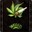 Group Avatar