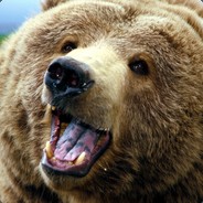 Brown Bear