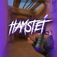 Hamsetr_2283310