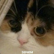 Твоя мамка