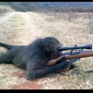 Monkey