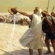 Napoleon Bonapart avatar