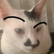 orgil