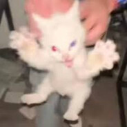 Чубзик