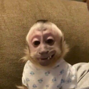 Tinggärd