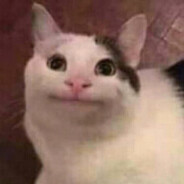 lauta