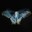 Group Avatar
