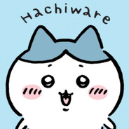 Hachi