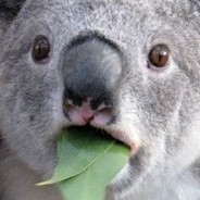 Steam profile picture for @waltzing