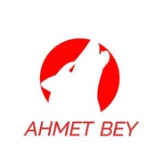 Ahmet Bey