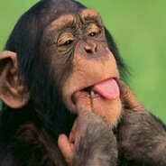 Chimpanzé