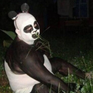 [TDS] Kung Fu Panda