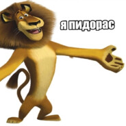 yapidaras