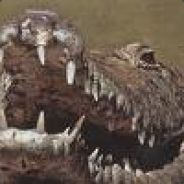 Croc