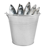 fishbucketgogogo
