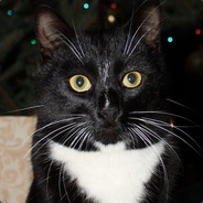 caTman