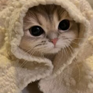 Kit Cat SKINS
