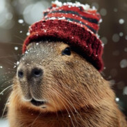 capibara