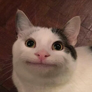 Котейка OwO