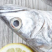 A Fish