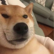 梅医生