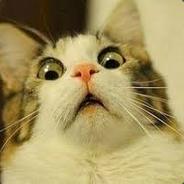 Meow Meow
