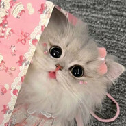 ♡розочка♡