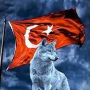 ...DaDaŞ...
