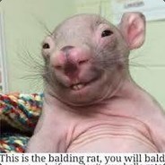 Dohkoz