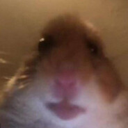 MöKööZ1
