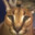 Group Avatar