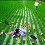 Ricefield God *WrenchRolderTier*