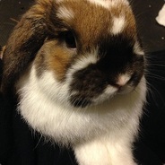 Steam profile picture for @enhancing