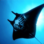 Hoboman