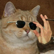 El Gato Mestre