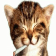 lkkkkkkkq><