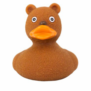 What The Duck