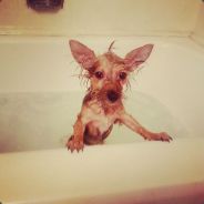mariahjmartin7401