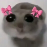 quemy